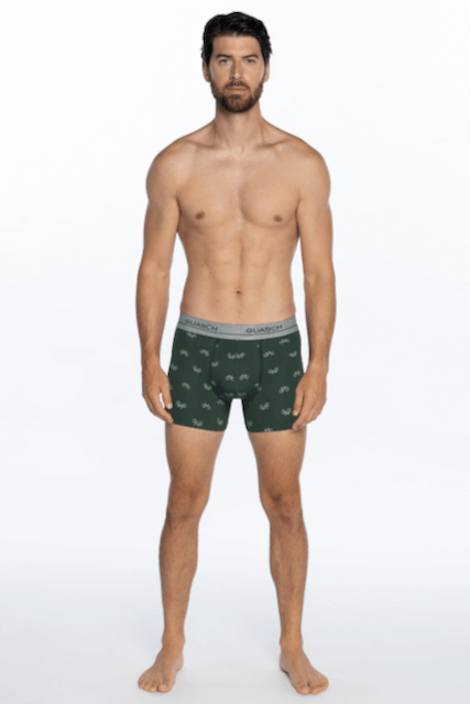 Herren Boxershorts OSCAR aus elastischer Baumwolle, 2 Stk.