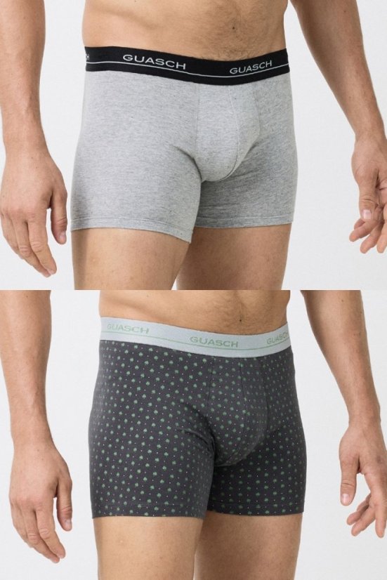 Herren Boxershorts DARIO aus elastischer Baumwolle, 2 Stk.