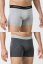 Herren Boxershorts DARIO aus elastischer Baumwolle, 2 Stk.
