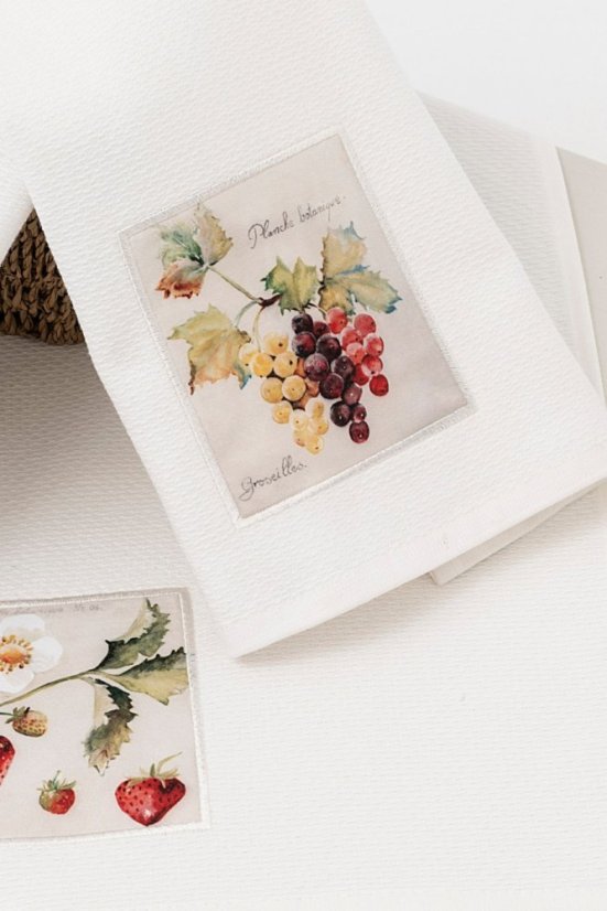 BRUNCH FRUIT konyharuhák, 3 db