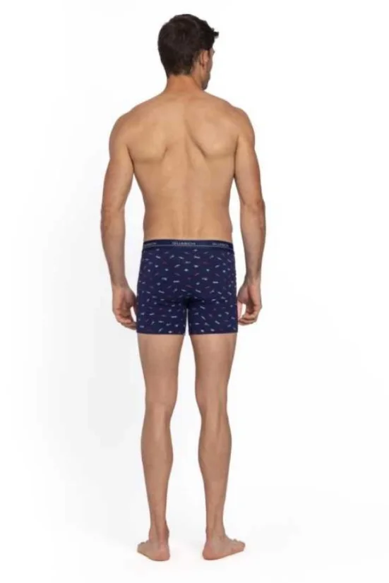 2 Pack, Boxeri pentru bărbați DIEGO, din bumbac elastic