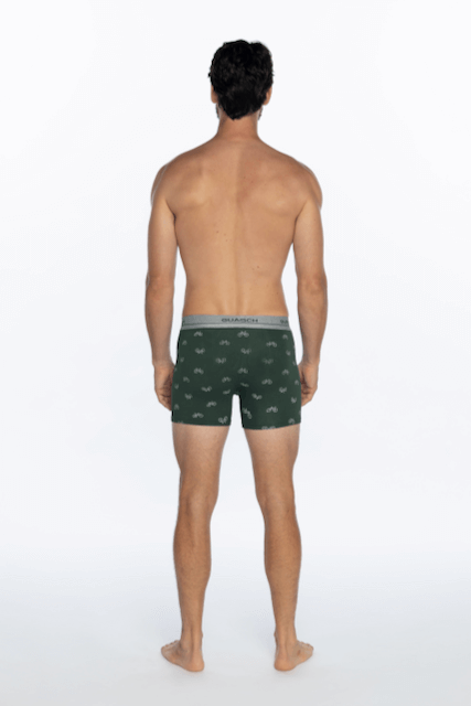 Herren Boxershorts OSCAR aus elastischer Baumwolle, 2 Stk.