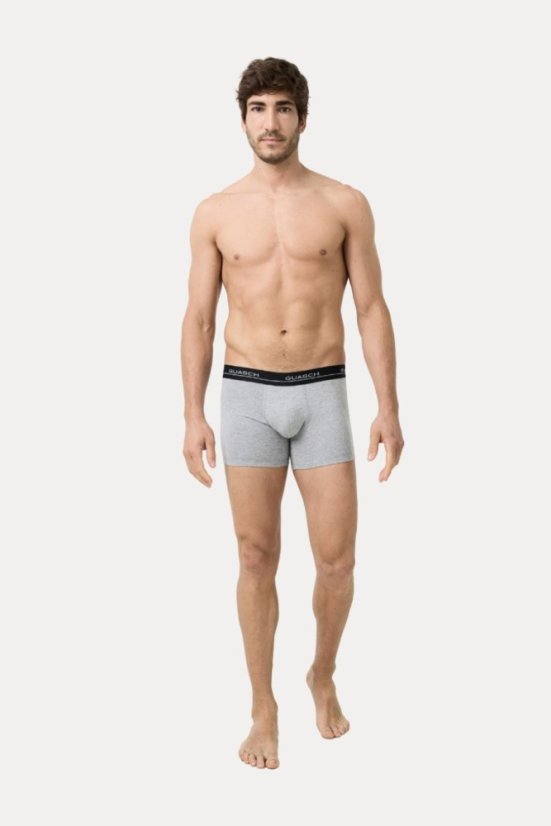 Herren Boxershorts DARIO aus elastischer Baumwolle, 2 Stk.