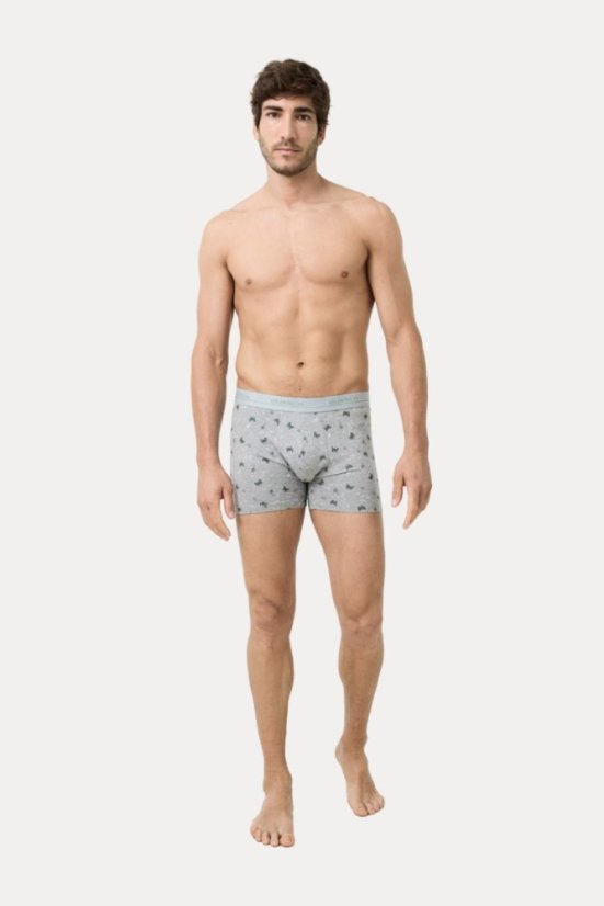 Herren Boxershorts ADRIAN aus elastischer Baumwolle, 2 Stk.