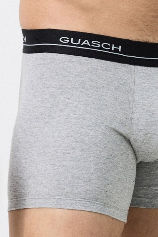 Herren Boxershorts DARIO aus elastischer Baumwolle, 2 Stk.
